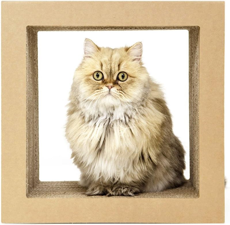 O-Shape Modular Cat Scratcher Block | Multi-Functional Durable | Cat Furniture | Cat Tree Condo | Original Kraft