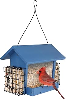 Hopper Hangout Recycled Plastic Hopper Bird Feeder with Latching Suet Cages & Fresh Seed Tray for Wild Birds and Outdoor Décor, 3 Quart Capacity, 2 Suet Cake, Blue