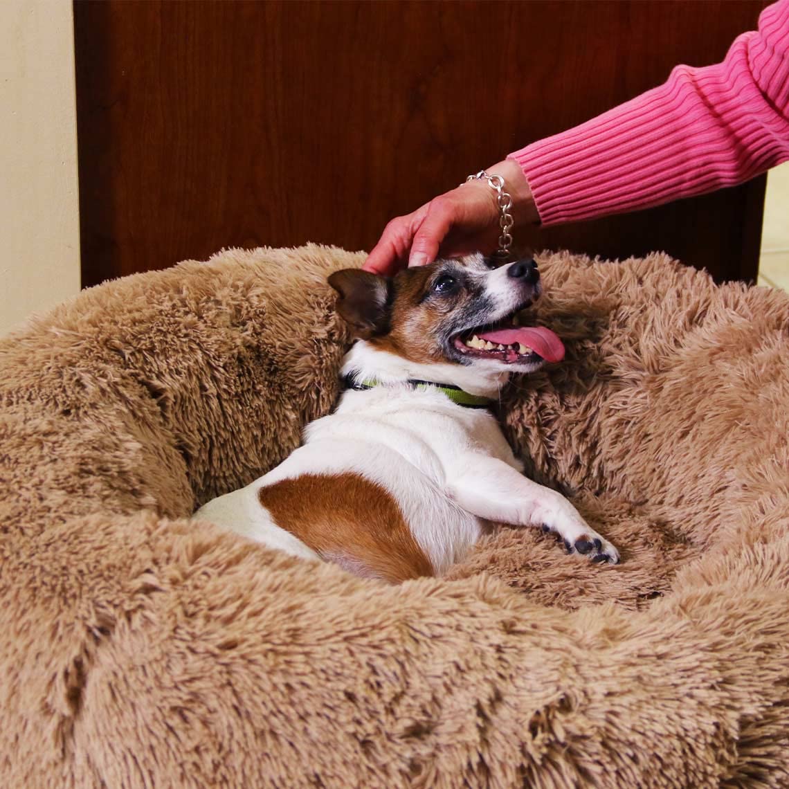 Mediashop Peaceful Pooch L – Cama para Perros mullida – Cojín para Perros – Funda Lavable – Cesta para Perros – Cojín para Perros Grandes