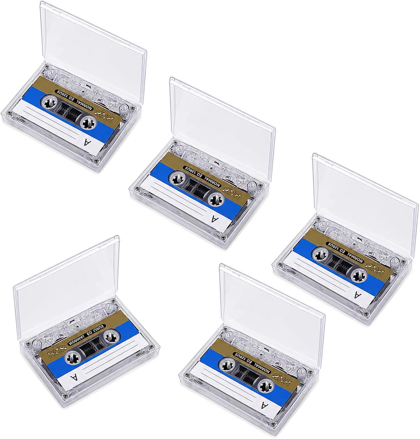 10 Pcs Cassette Tape, Blank Audio Cassettes for Recording Music, 60 Min