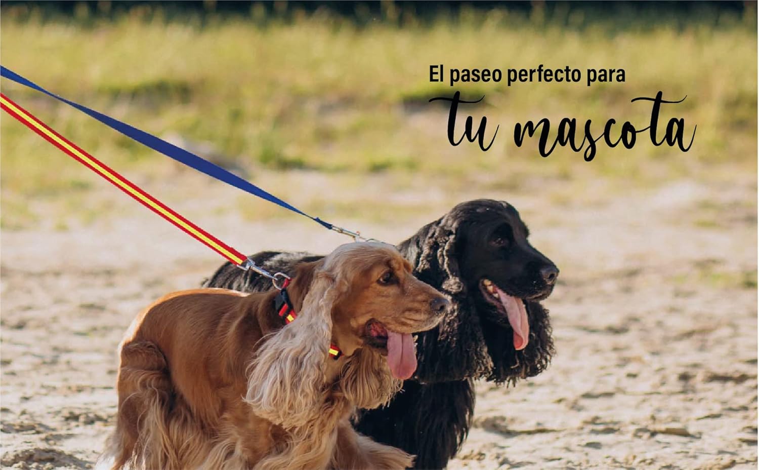 Reversible Harness for Small Dogs - 19.5 x 18.5 cm - Mosaic Design - Size XS - Very Resistant and Comfortable - Safe - Dog Accessories 3