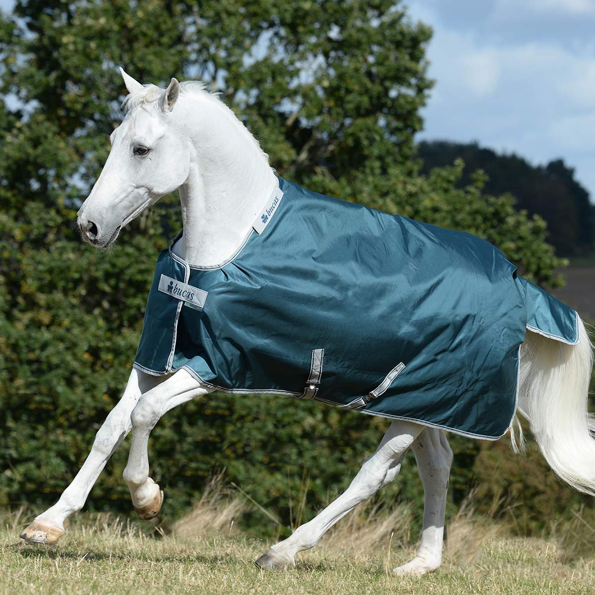 Bucas Atlantic Turnout - Coperta per cavalli, 200 g