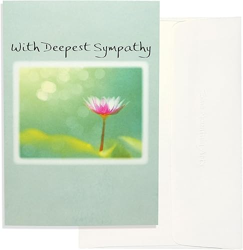 Miniatura 8 de Blue Mountain Arts Surtido de tarjetas de condolencia: 2 tarjetas de felicitación únicas con palabras de comodidad para enviar tus condolencias más