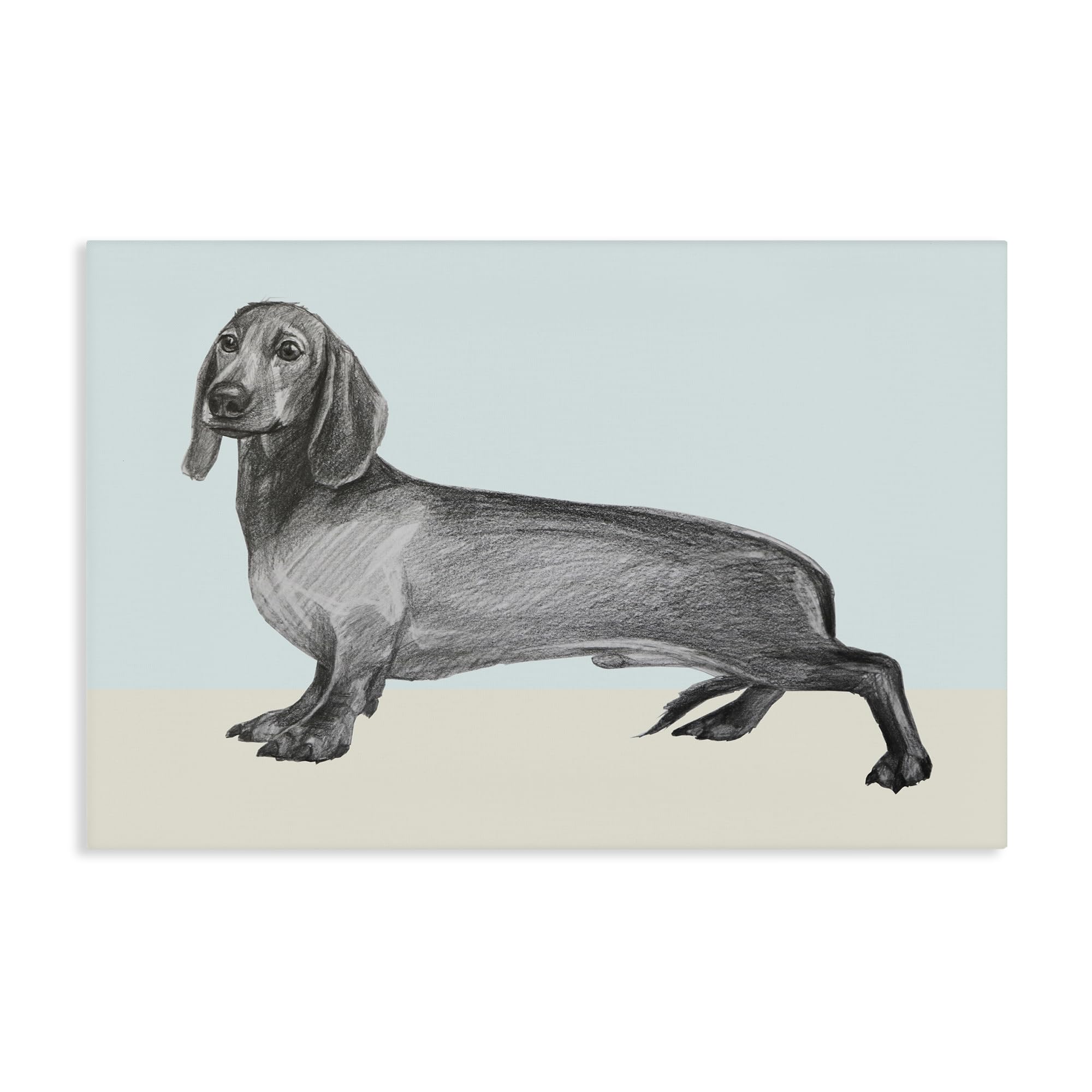 Stupell Industries 'Sketched Dachshund on Blue', Canvas Art, 36 x 24 Inches, Easy to Hang and Sturdy, Made in USA, by Violeta Vollmer