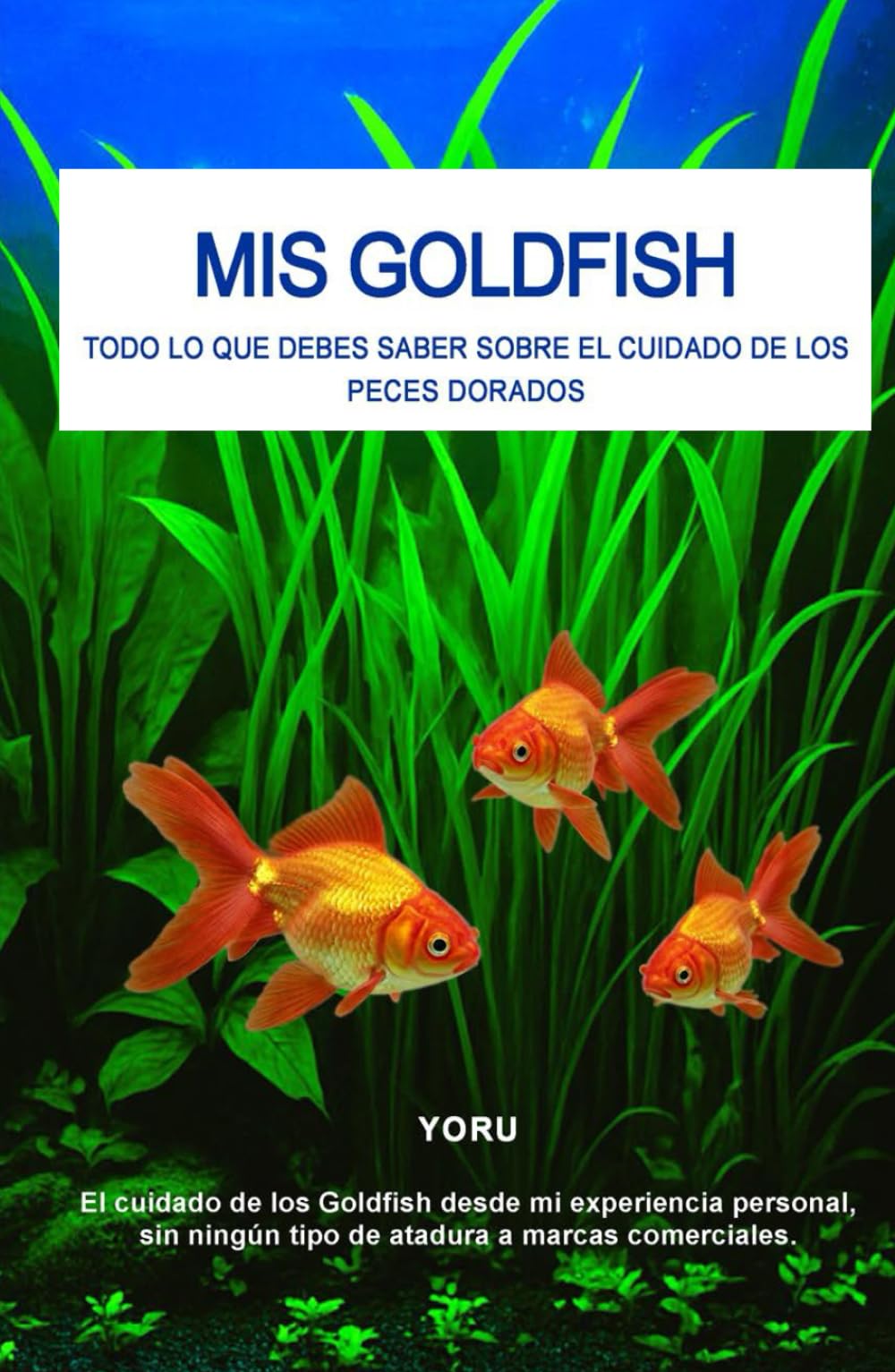 MIS GOLDFISH: Todo lo que debes saber sobre el cuidado de los Peces Dorados