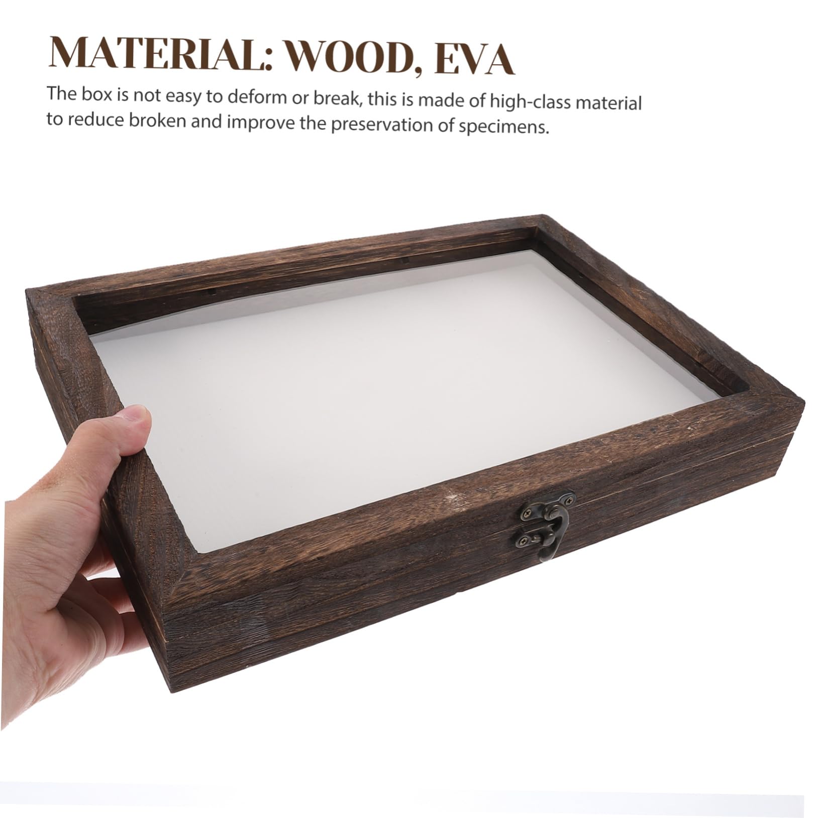 Garneck Scatola di Legno per Insetti con Coperchio Trasparente, Teca Entomologica per Farfalle, Protezione Dalla Polvere e Decorazione da Scrivania Stile Casuale