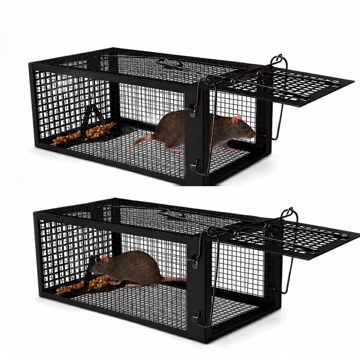 CD Humane Mouse Trap, Black, 2 Pack