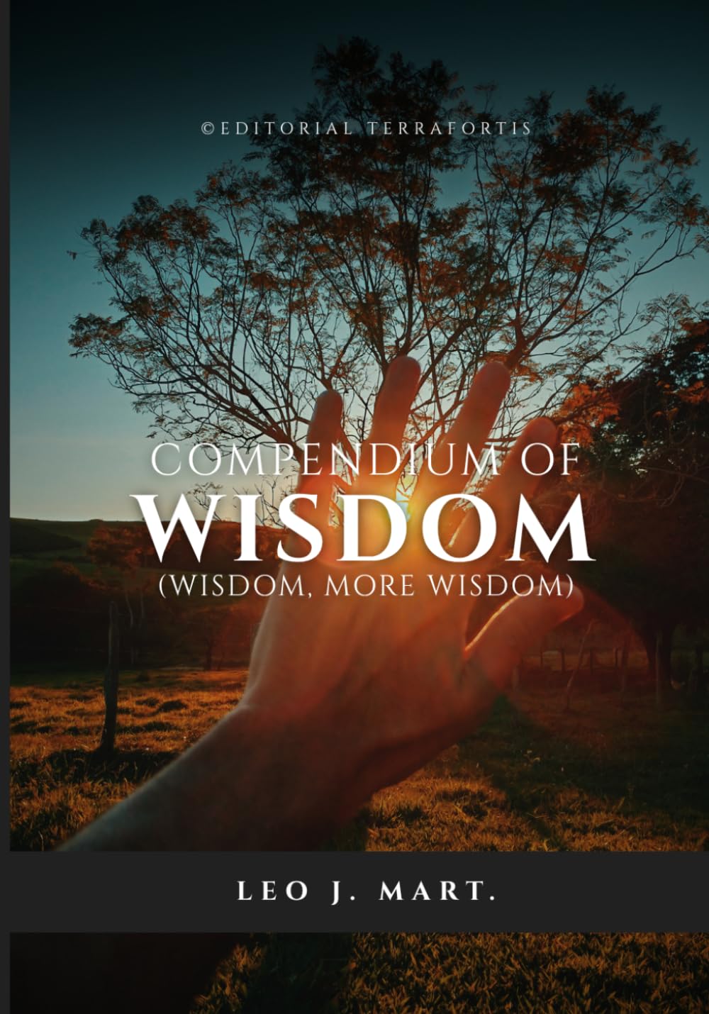 Compendium of Wisdom: Wisdom, more Wisdom (Jesus Speaks About)