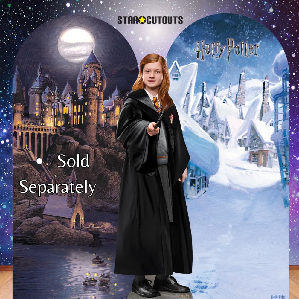 SC4520 Hogsmeade Village Toile de Fond en Carton découpé Hauteur 185 cm
