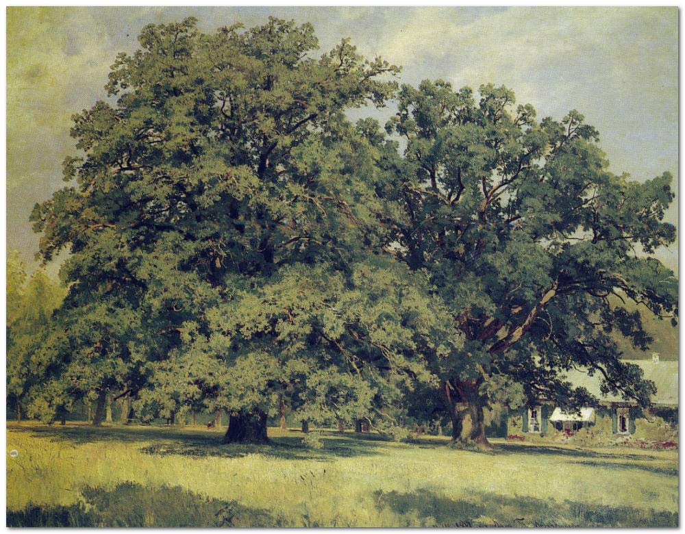 Ivan I. Shishkin World Famous Painting The Mordvinovo Oaks Paint by Numbers for Children Canvas Art Kit DIY Oil Painting for Beginner