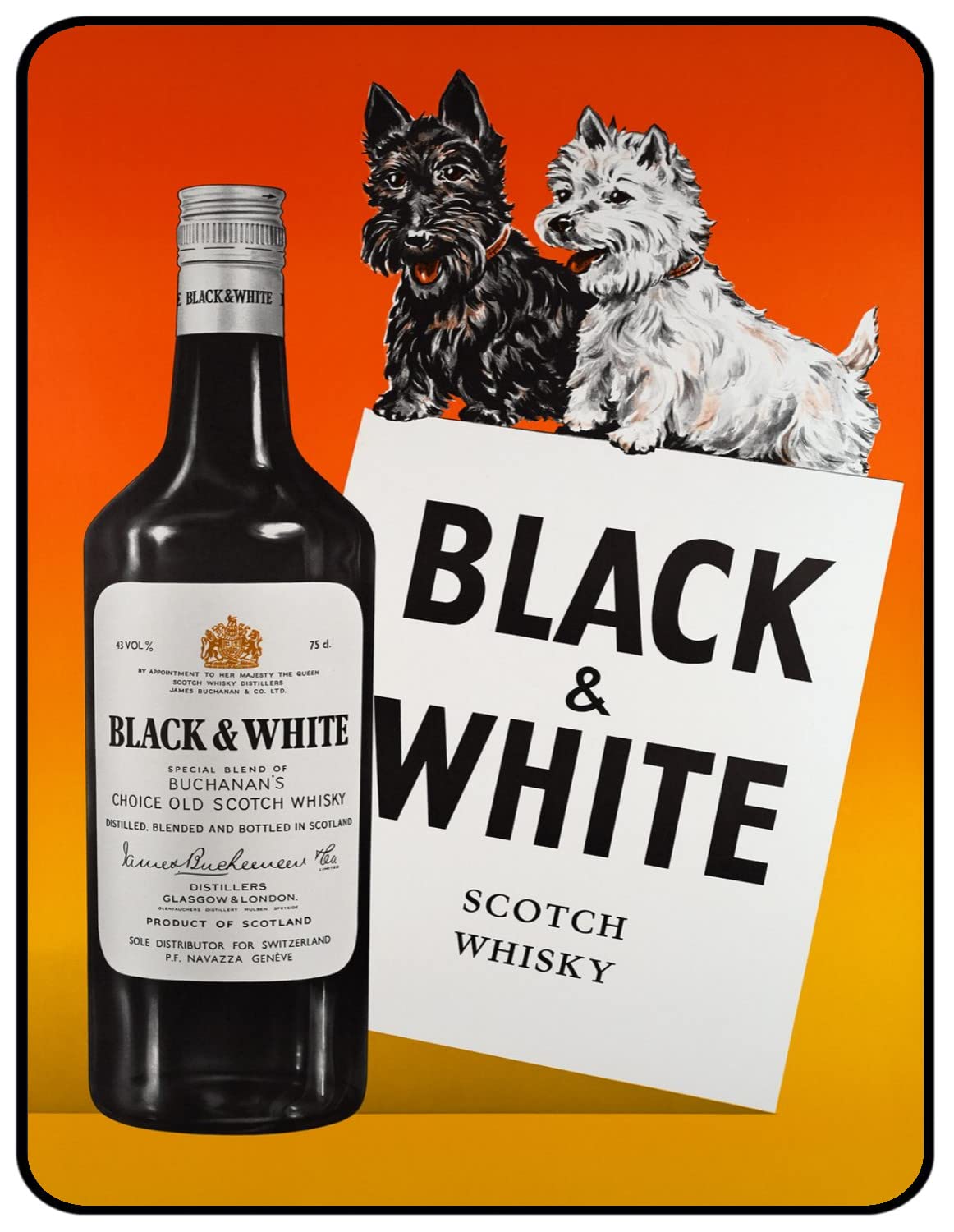 Tin Sign Black Vintage Retro Man Cave Bar Pub Shed Novelty Gift Aluminium Metal Tin Wall Décor Sign - White Old Scotch Whisky Buchanan Westie Scottie