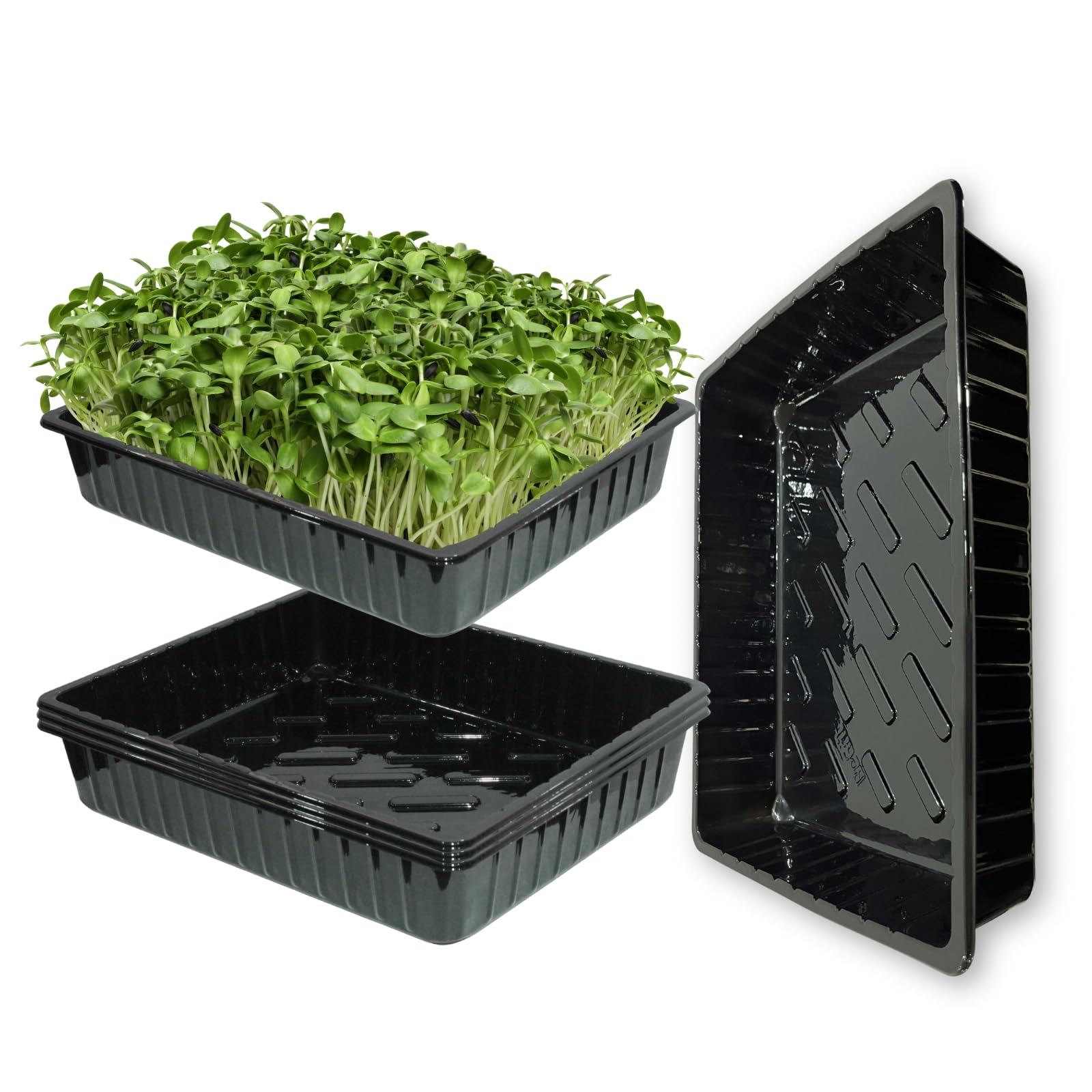 BeGrit Hydroponic bitki küveti, 5 adet, bitki saksısı, bitki