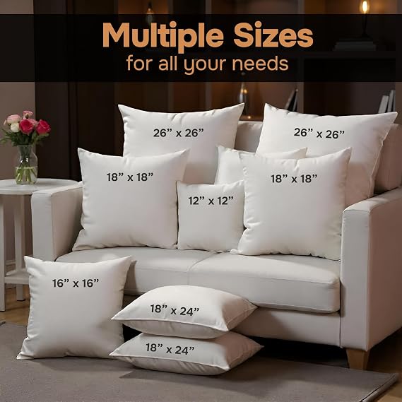 CanvasChamp Throw Pillow Inserts Pack of 2, Lightweight Soft Polyester Decorative Pillow Covers - 20 W x 20 H Bed & Couch Pillows