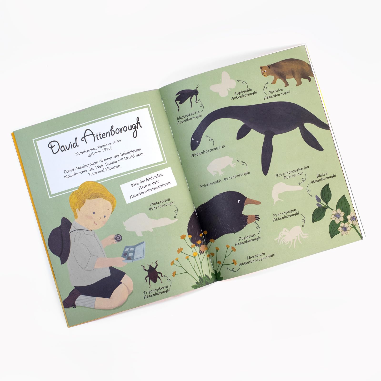 Little People, Big Dreams: Sticker-Mitmach-Buch: Das perfekte Geschenk zur Einschulung