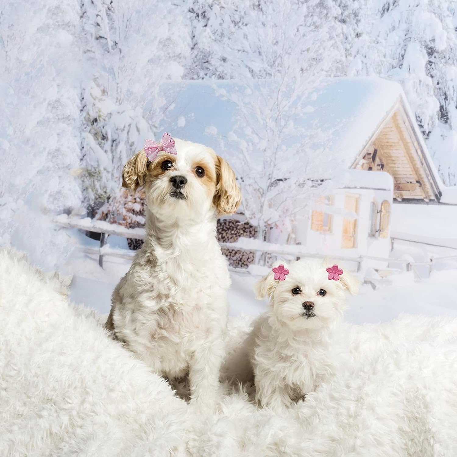 HACRAHO Dogs Hair Clips - Image 4