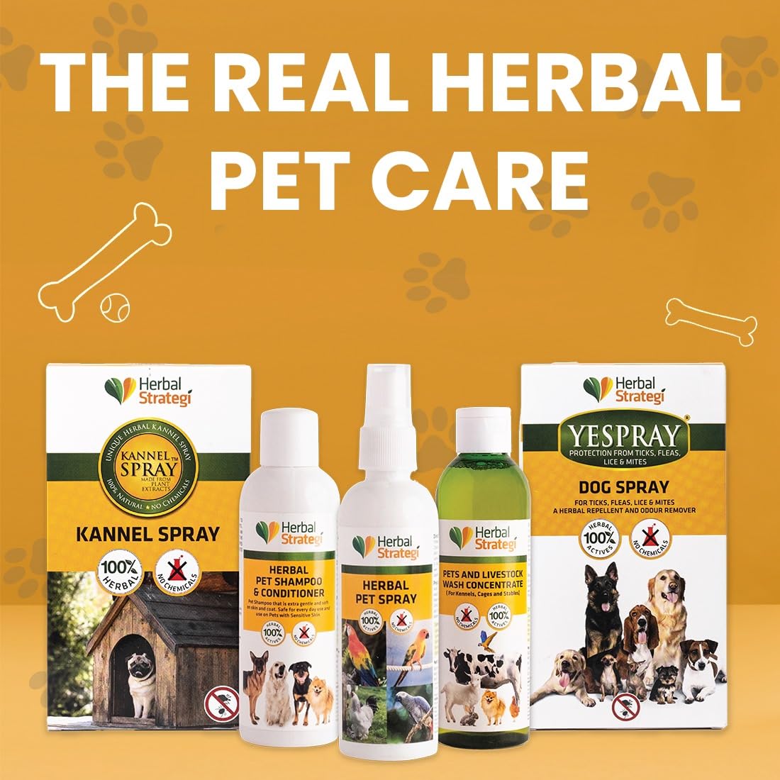 Herbal Strategi Kennel Spray Herbal Protection from Ticks, Fleas, Lice and Mites in The Kennel Area - 100ml 3