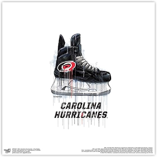 Trends International Gallery Pops NHL Carolina Hurricanes - Arte de pared de patín de goteo, versión sin marco, 12 x 12 pulgadas