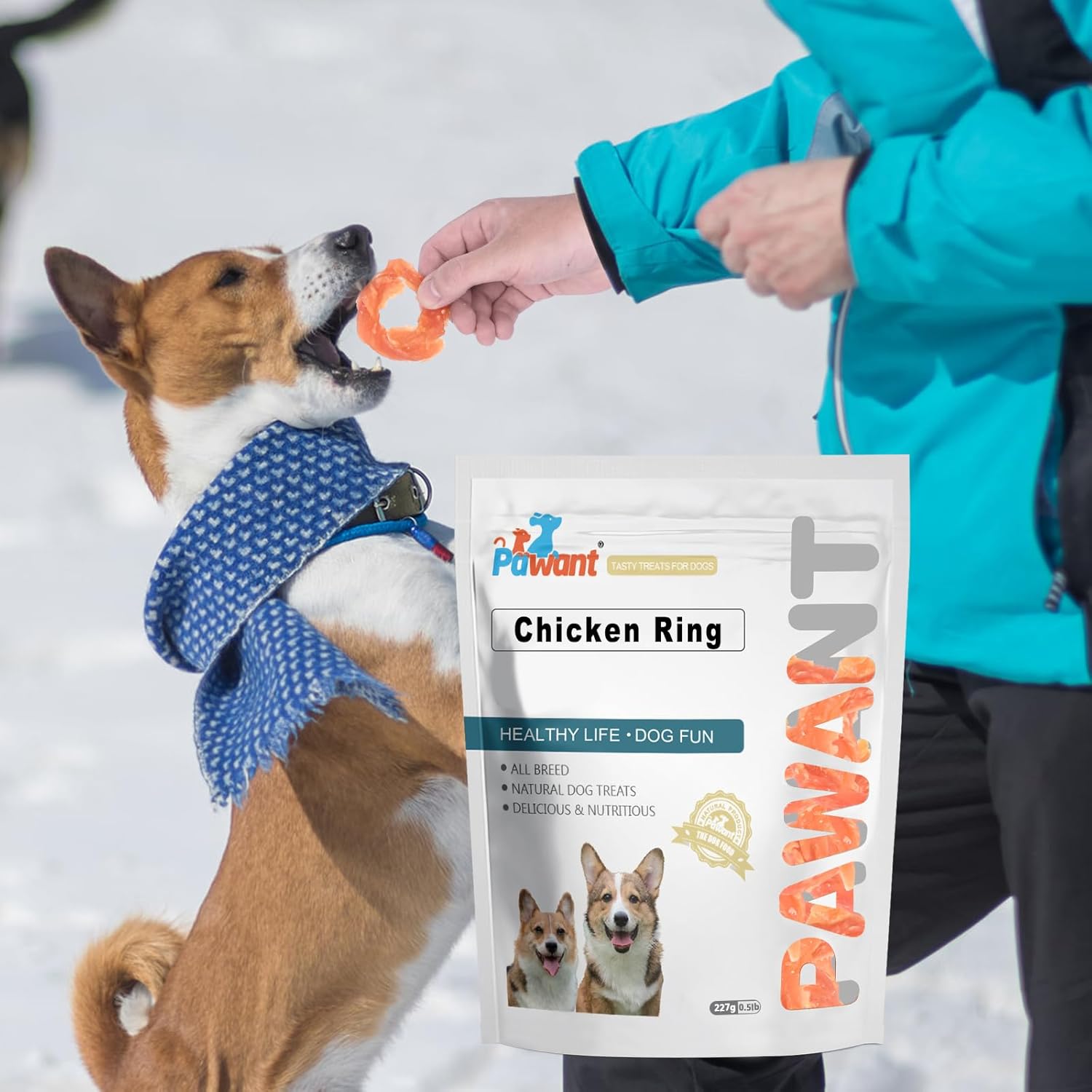 Chicken Rings Dog Treat Snacks Puppy Treats Natural Chicken Rawhide-Free Soft Healthy for Small Medium and Large Breed 454g