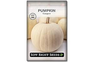 Sow Right Seeds Casper Pumpkin Seed for Planting