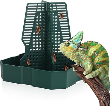 Chameleon Feeding Bearded Dragon Bug Bowl Reptile Feeder Box with Column for Insects to Climb for Feeding Chameleon Gecko Lizard Frog M