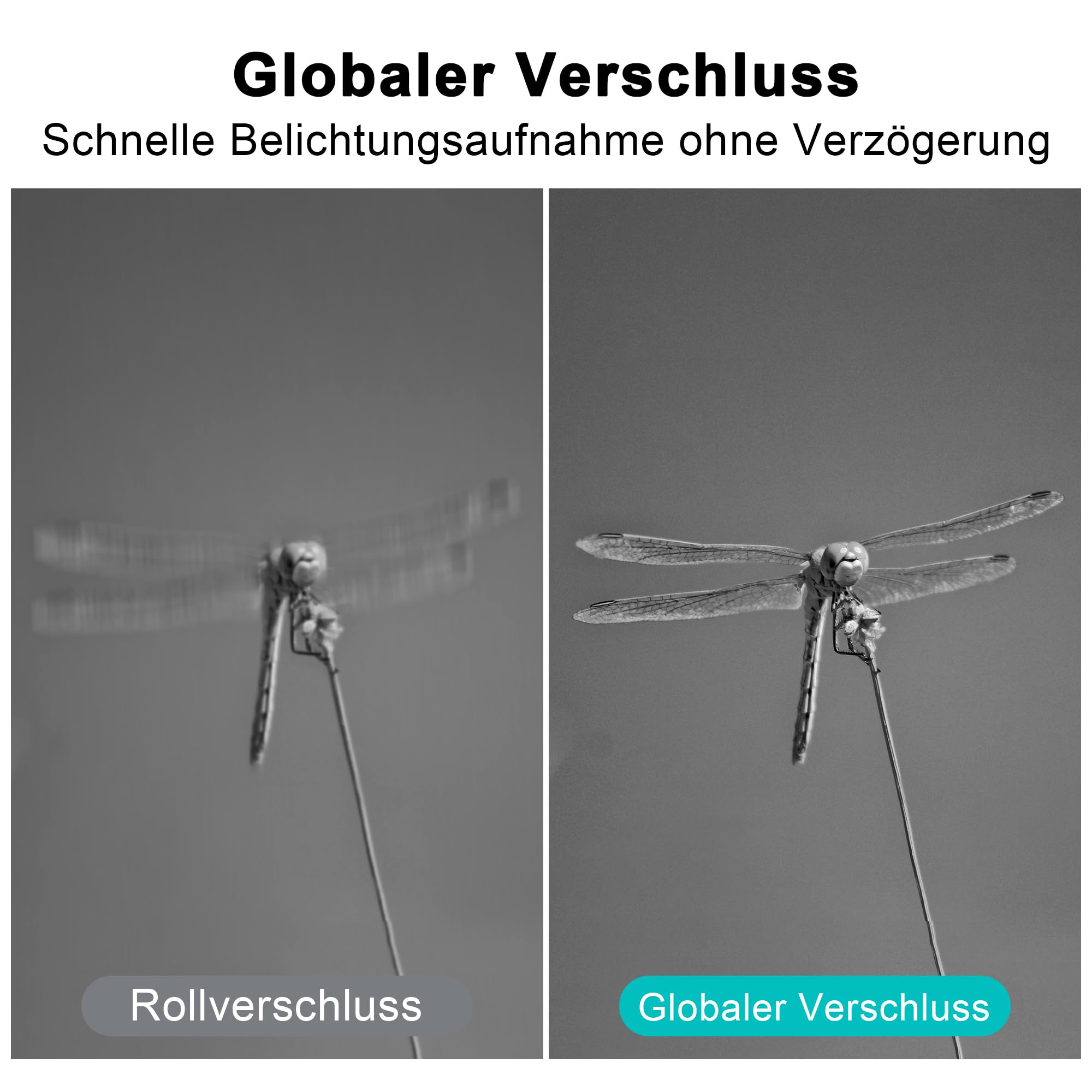 Monochrome USB Kamera mit Globalverschluss | 800P 120FPS ultraschnell, 5–50 mm CS Objektiv mit manuellem Fokus, Plug & Play für Motion Capture,kompatibel mit Raspberry Pi