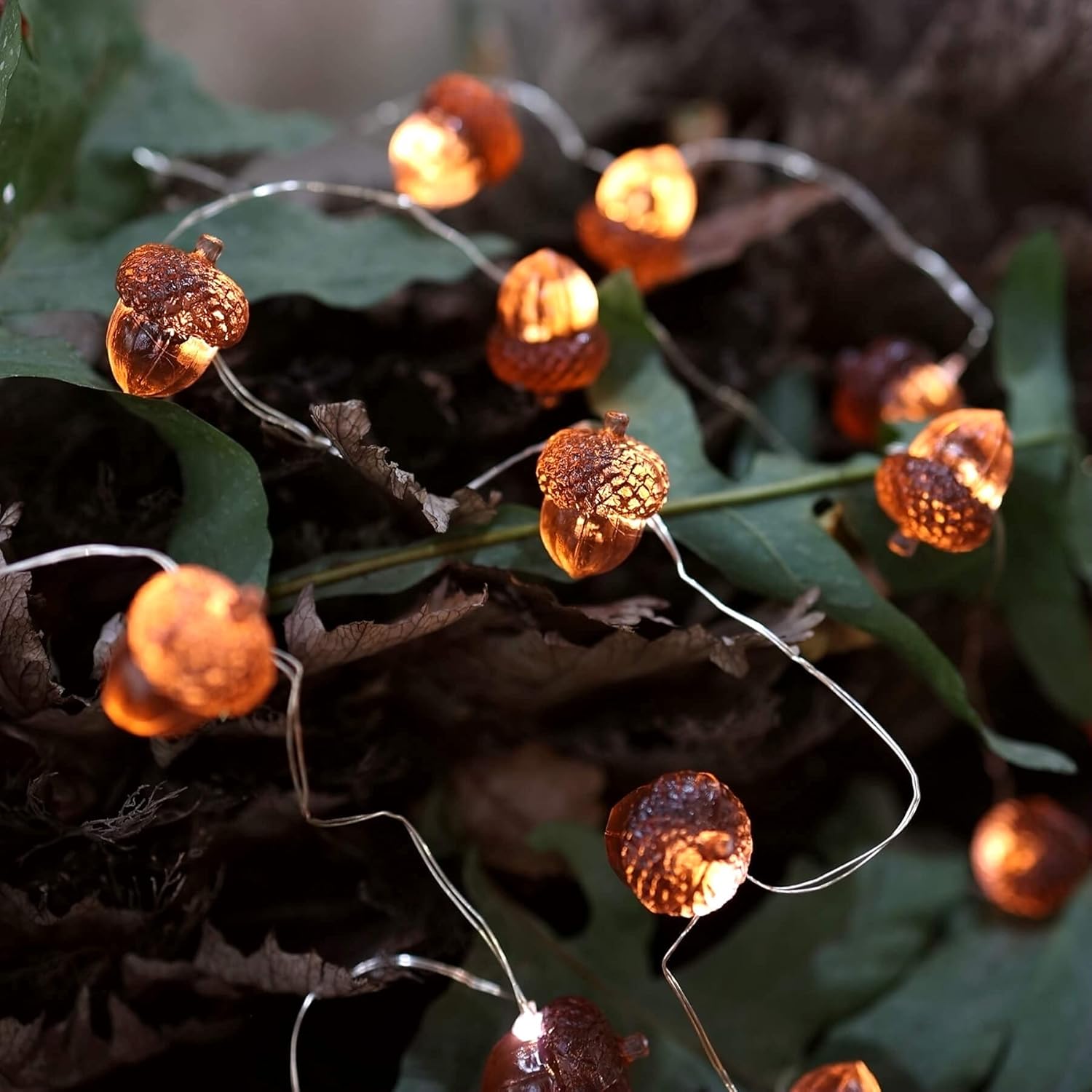 Decorative Fairy Acorn String Lights Thanksgiving Decoration Autumn Garland Cute Novelty Lights 30 LEDs 10 ft Battery Operated for Bedroom Wedding Birthday Harvest Decor - - 