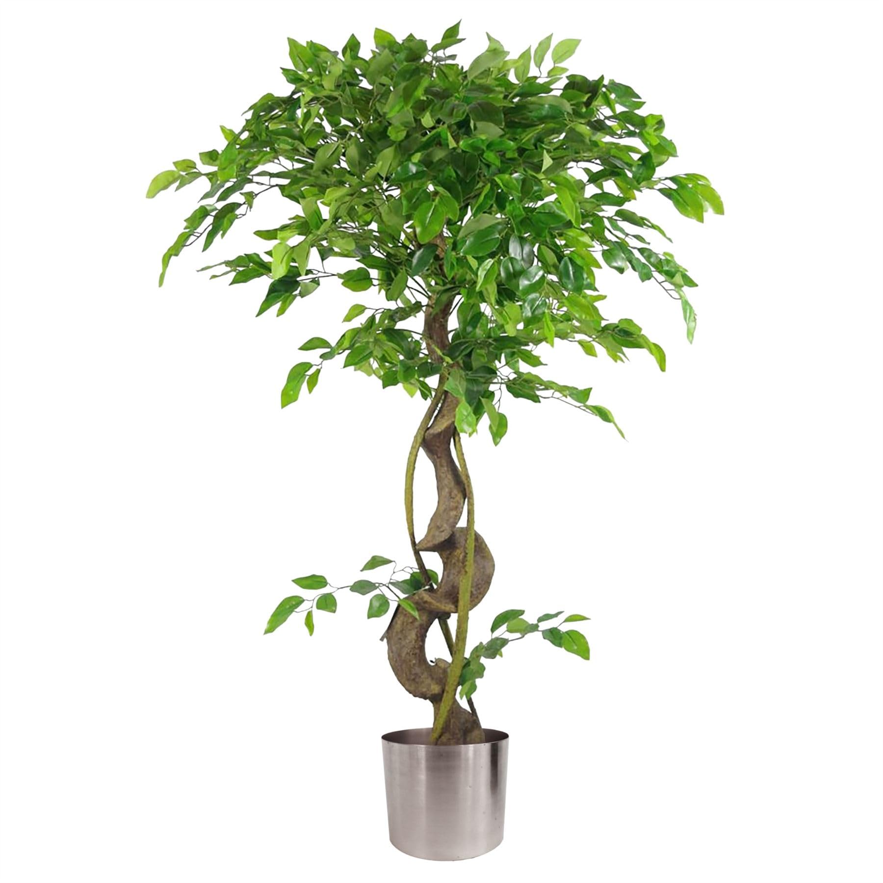 Leaf Realistic Artificial Japanese Fruticosa Ficus Tree, Twisted Silver, 120cm (4ft)