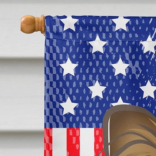 Vista 468 de Caroline's Treasures BB2171GF American Flag and Border Collie Garden Flag Mailbox Flag Decorative Yard Flag Banner Outside Patio Artwork Yard Flower