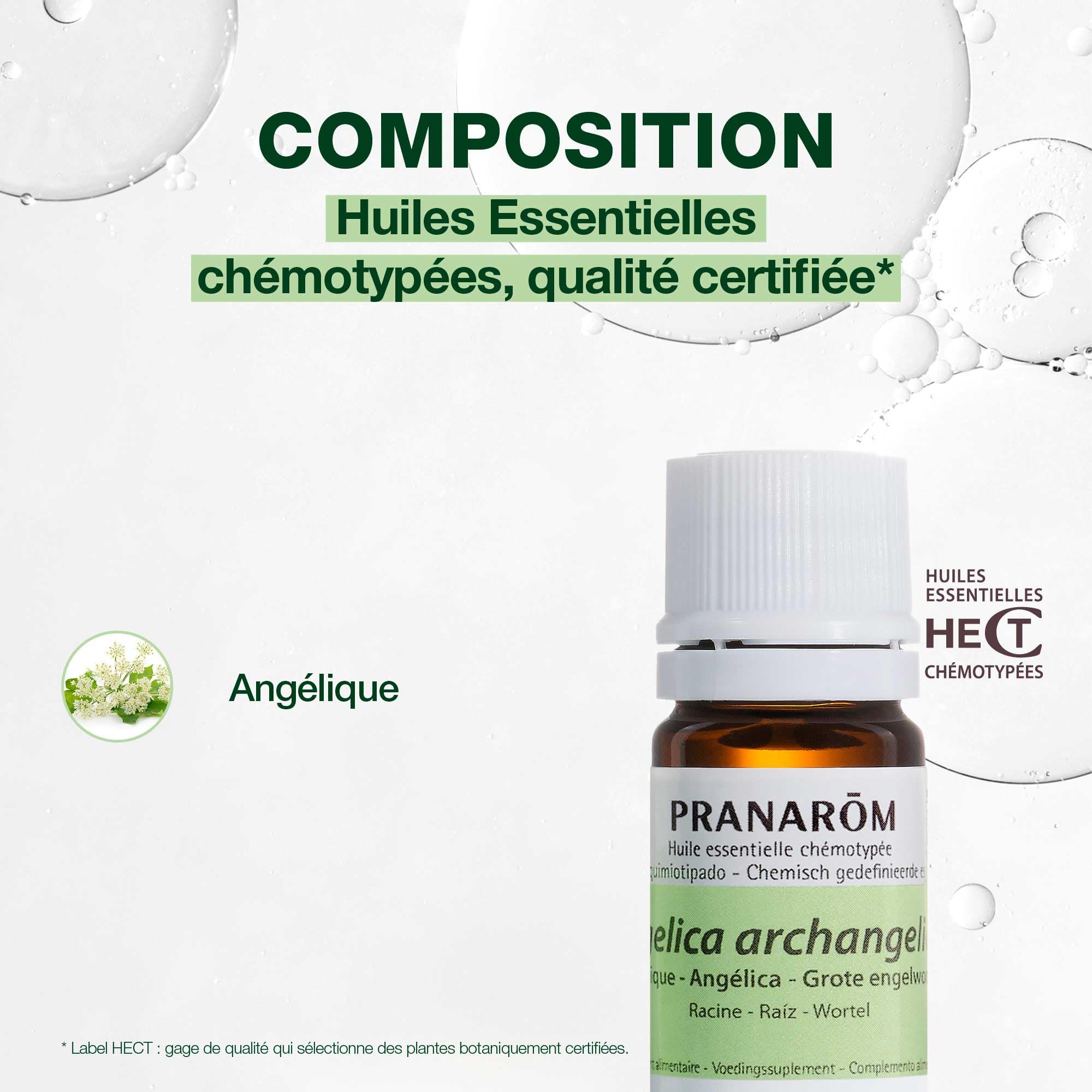 PRANAROMACEITES angelica olejek eteryczny do codziennego stosowania 5ml