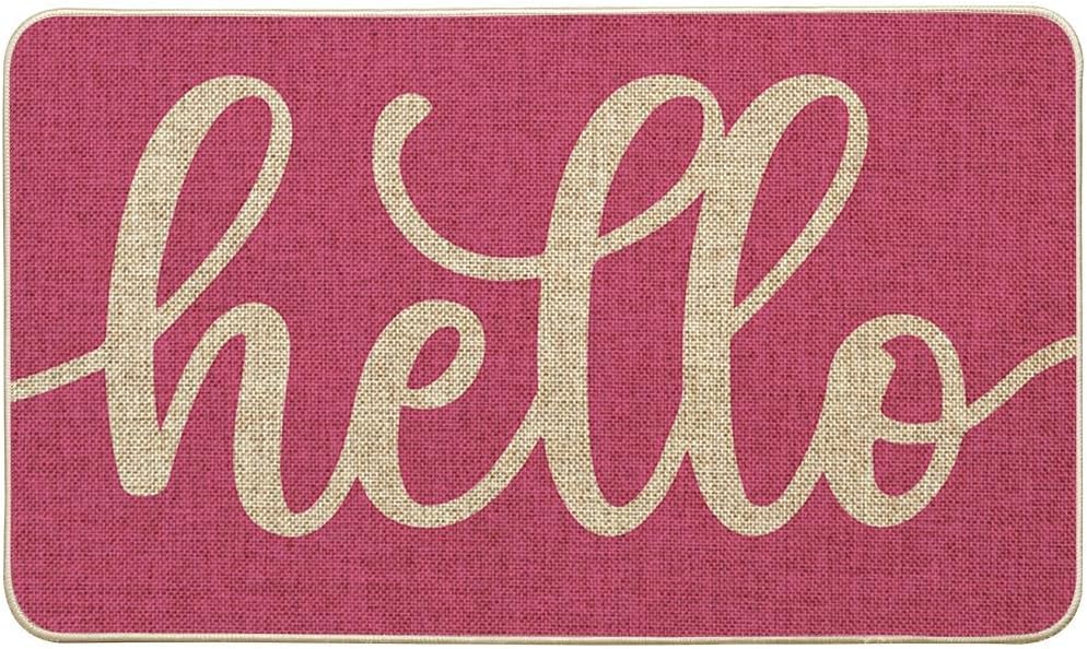 Artoid Mode Pink Hello Spring Doormat, Summer Home Decor Low-Profile Switch Rug Door Mat Floor Mat for Indoor Outdoor 17x29 Inch