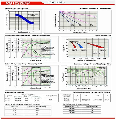Miniatura 4 de Raion Power Batería AGM de repuesto de 12V 22Ah para Clore Automotive JNC660 Jump N Carry Jump N Carry Jump Starter - 1 paquete