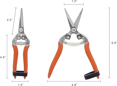 Miniatura 2 de Zenport h300s-12pk cosecha Shear Long Straight stainless44 Caja de 12