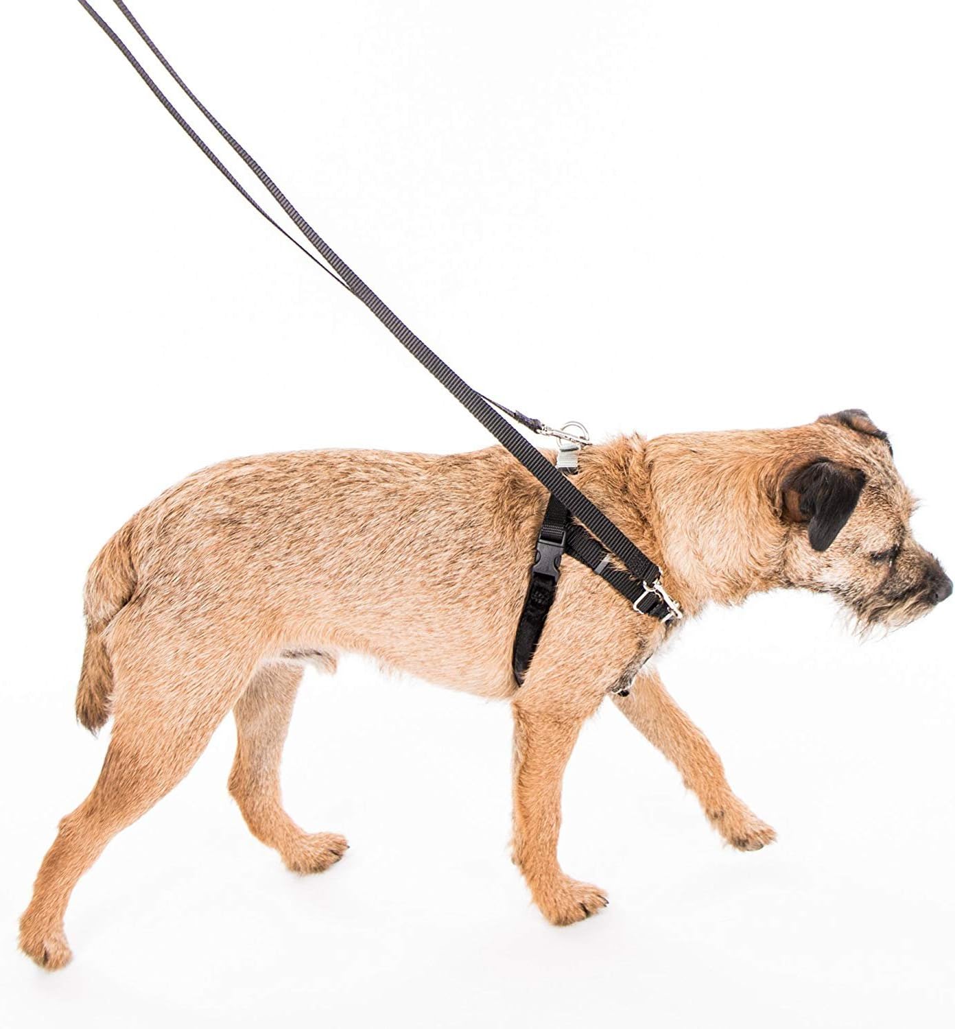 Wiggles Wags Whiskers Freedom No-Pull Dog Harness: Velvet Padding, Multi-Function & USA Made! Lots of Sizes & Colors (Leash Not Included), Medium 1" Raspberry