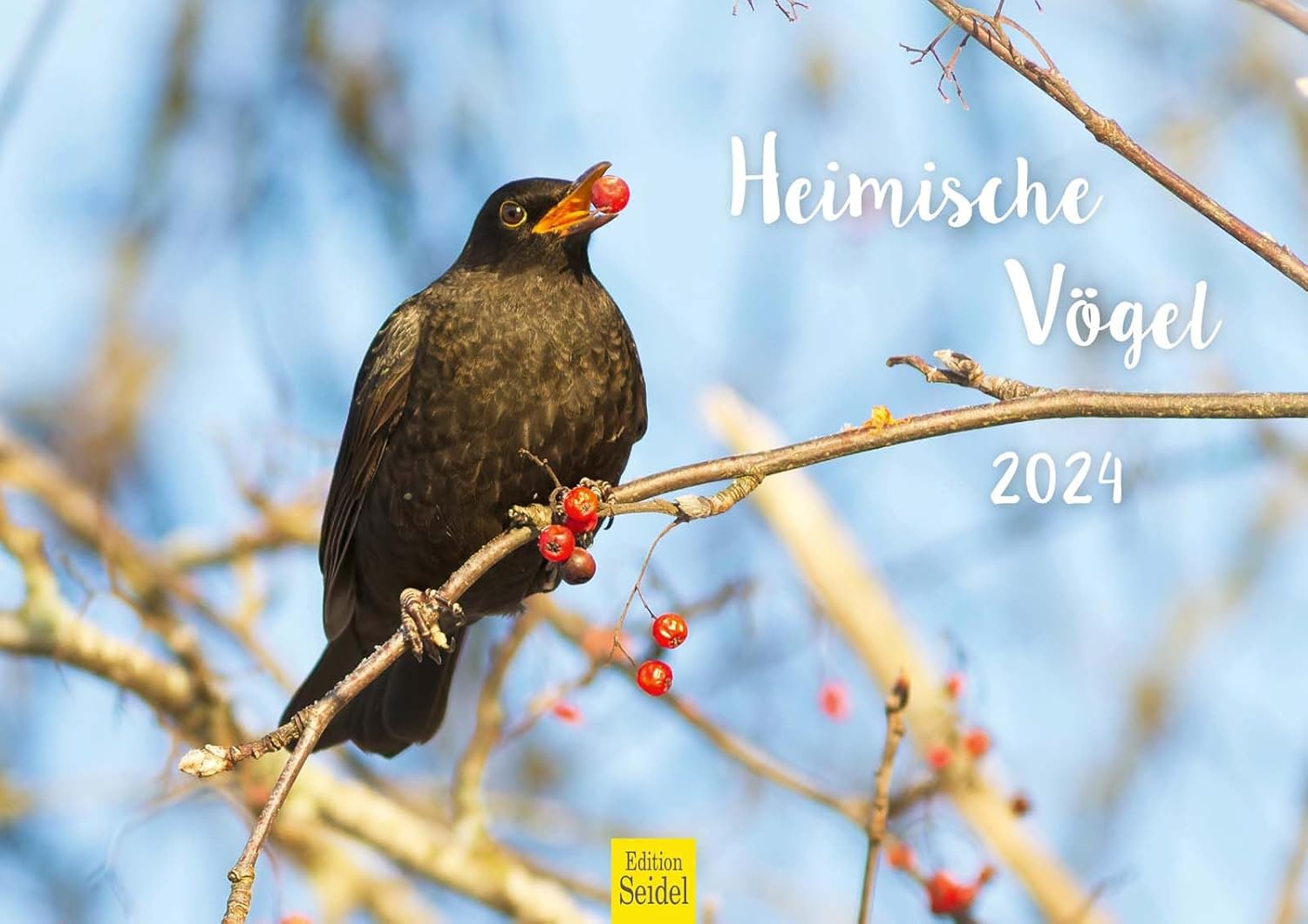 Edition Seidel Premium Kalender Heimische Vögel 2024 Format DIN A3