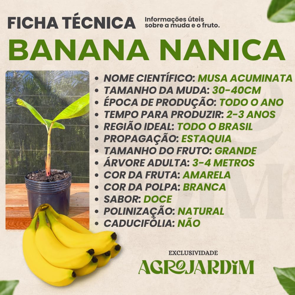 Rus qizlari anusni yalagan porno video