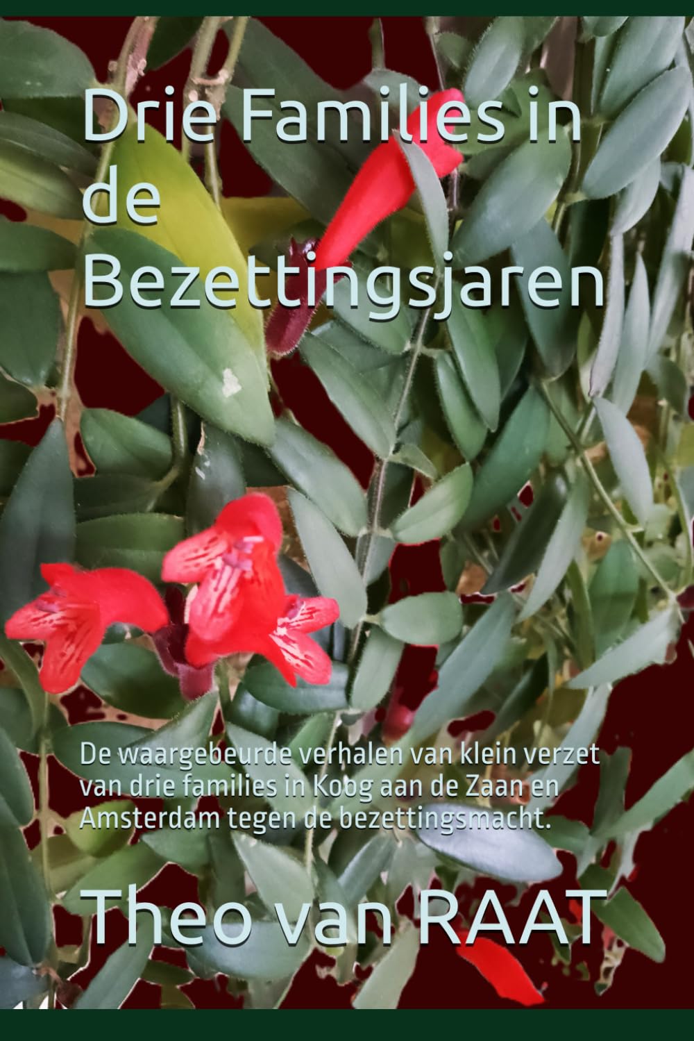 Drie Families in de Bezettingsjaren: De waargebeurde verhalen van klein verzet van drie families in Koog aan de Zaan en Amsterdam tegen de bezettingsmacht.