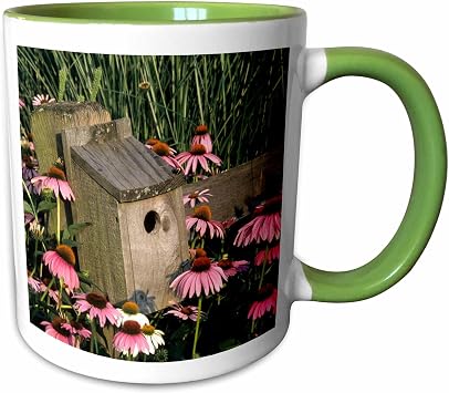3dRose Bluebird nest Box on Fence Near Purple 11oz Two-Tone Green Mug