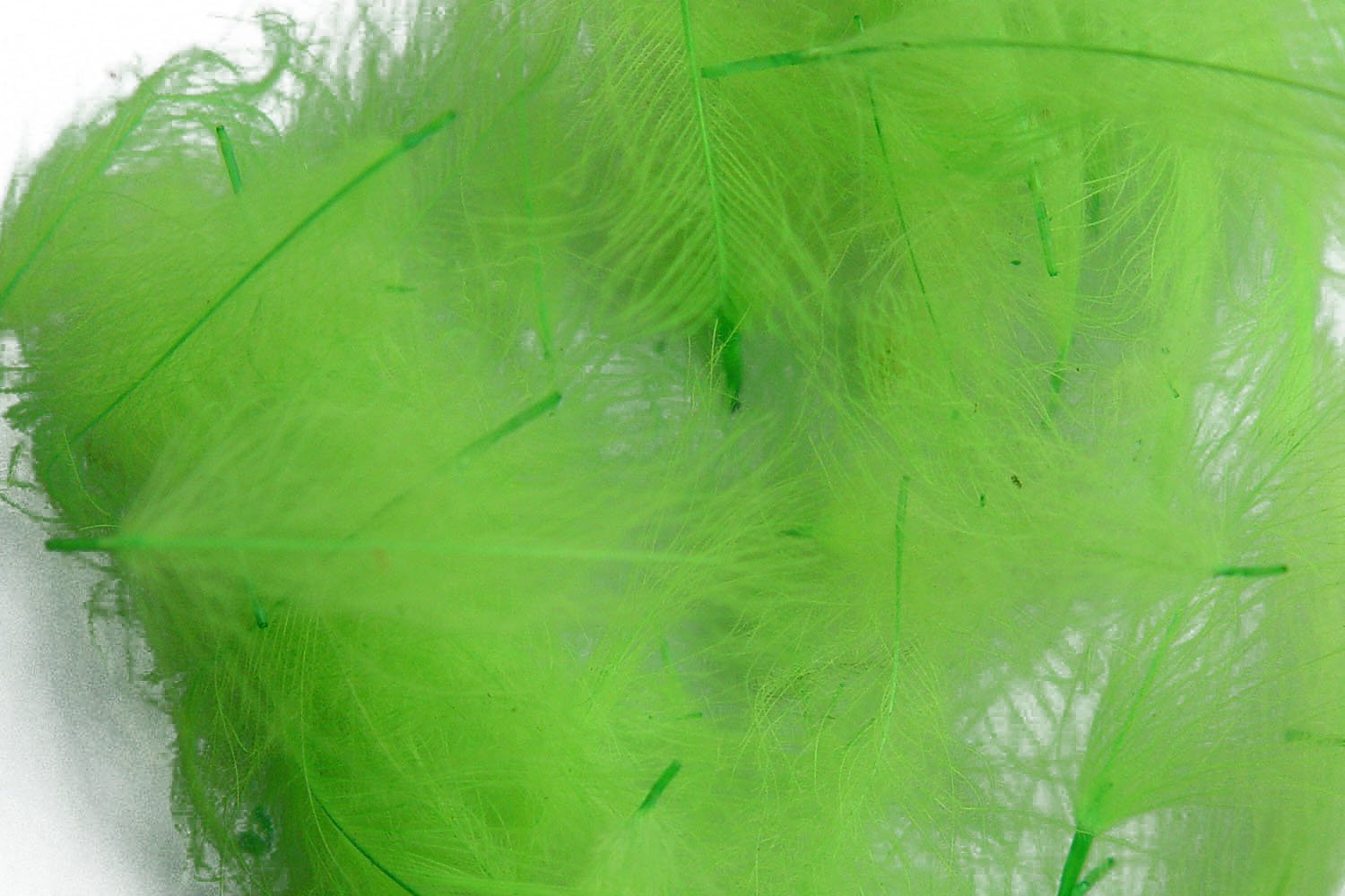 Plumes De CDC (Cul De Canard) Rouge Pour Montage De Mouches De Pêche - 1 Gramme (environ 120 Plumes), Tailles 3-6 Cm | Matériel Pêche à La Mouche - 5