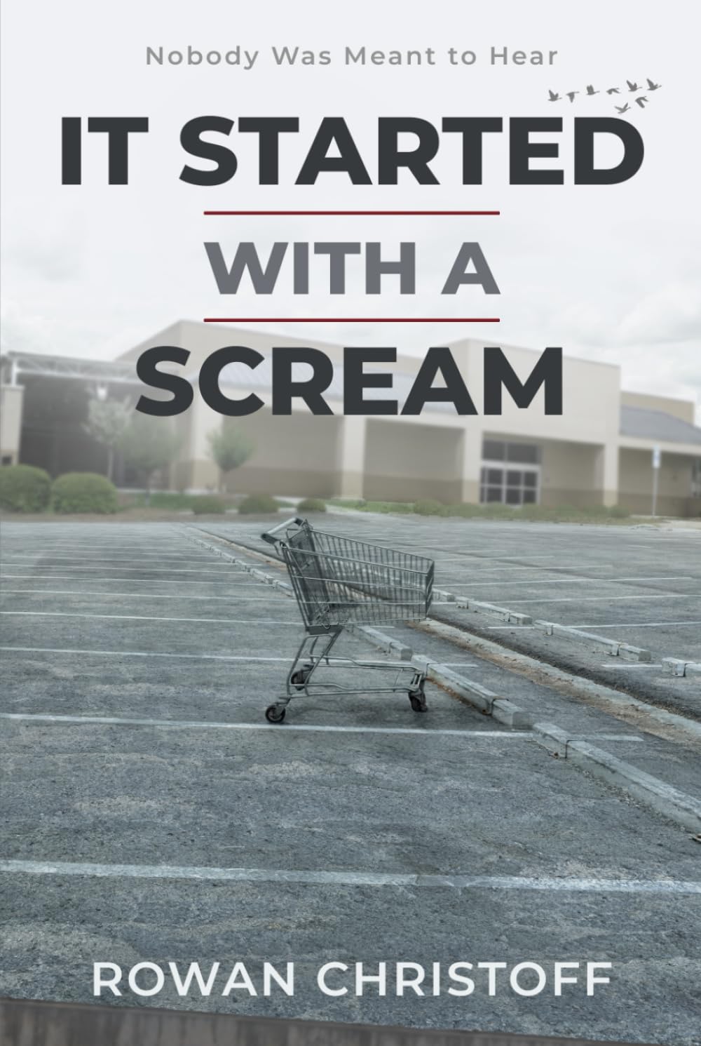 It Started With a Scream: Nobody Was Meant to Hear (The Rage Trilogy)