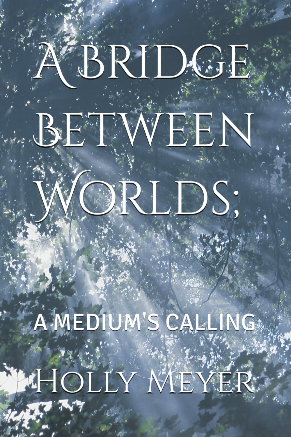 A Bridge Between Worlds;: A MEDIUM'S CALLING