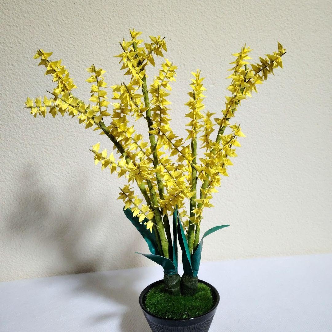 Amazon｜折り鶴盆栽(オンシジュム鉢植え)｜観葉植物 オンライン通販