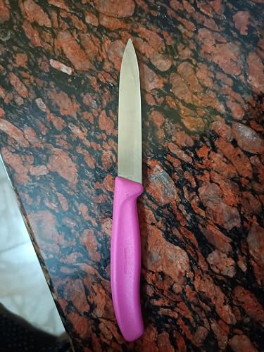 くどう2 Buy Victorinox Stainless Steel Kitchen Knife, Swiss Classic 10 cm