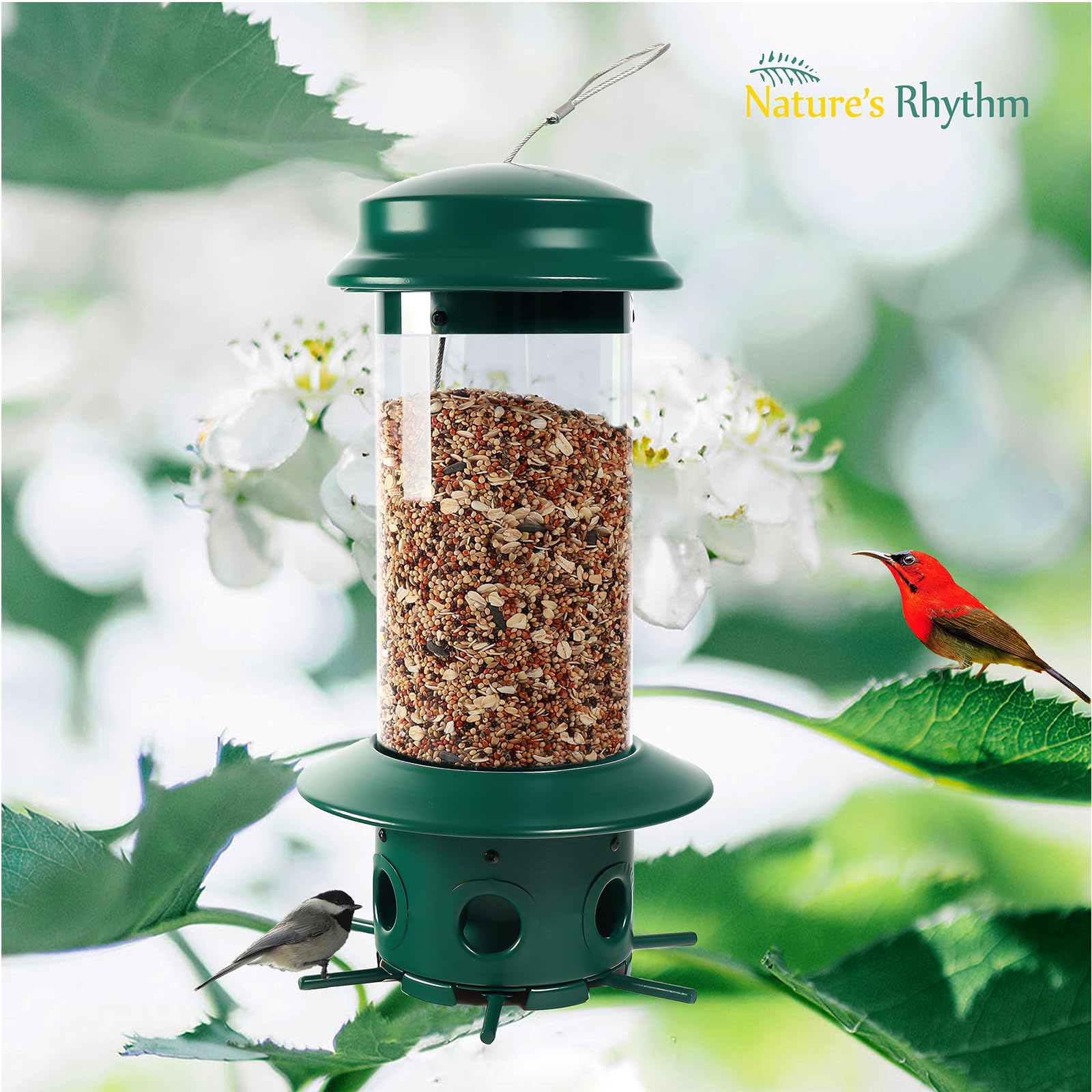 Nature's Rhythm Hängender klassischer Rohr-Futterspender für Wildvögel, Premium-Hartplastik, Stahlaufhänger, wetterfest und wasserabweisend