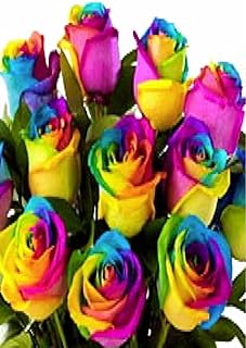 15 Misti semi di Colore Rosa -Vaiety di Colori