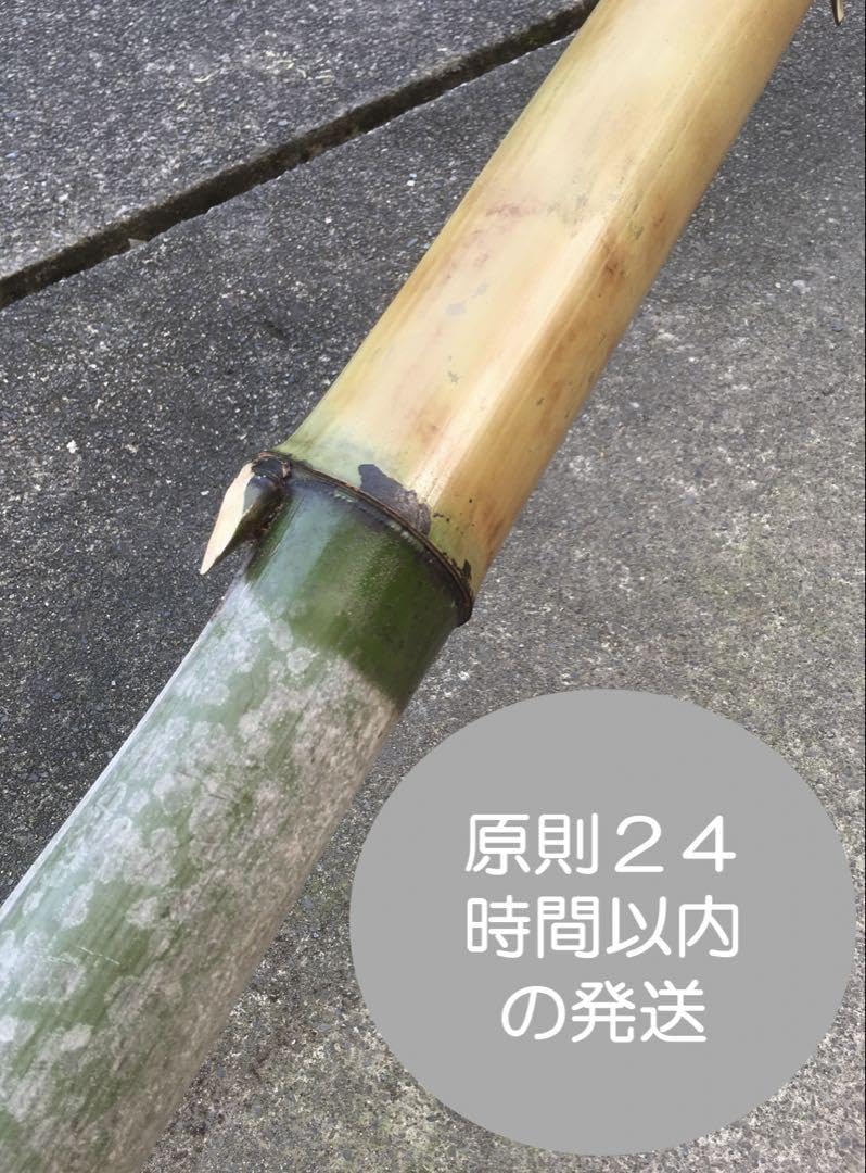 24時間以内発送　涼風の流しそうめん - 油抜き天然竹セット〜総長さ約400cm Amazon.co.jp: 涼風の流しそうめん - 油抜き天然竹セット : 食品