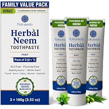 Natruveda Neem Herbal Toothpaste 3 Pack 100g Each Fluoride Free & SLS Free Toothpaste with Neem, Miswak, Babul & Vajradanti | Mint Ayurvedic Toothpaste for Fresh Breath & Daily Oral Care