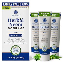 Natruveda Neem Herbal Toothpaste 3 Pack (100g Each) – Fluoride Free & SLS Free Toothpaste with Neem, Miswak, Babul & Vajradanti | Mint Ayurvedic Toothpaste for Fresh Breath & Daily Oral Care