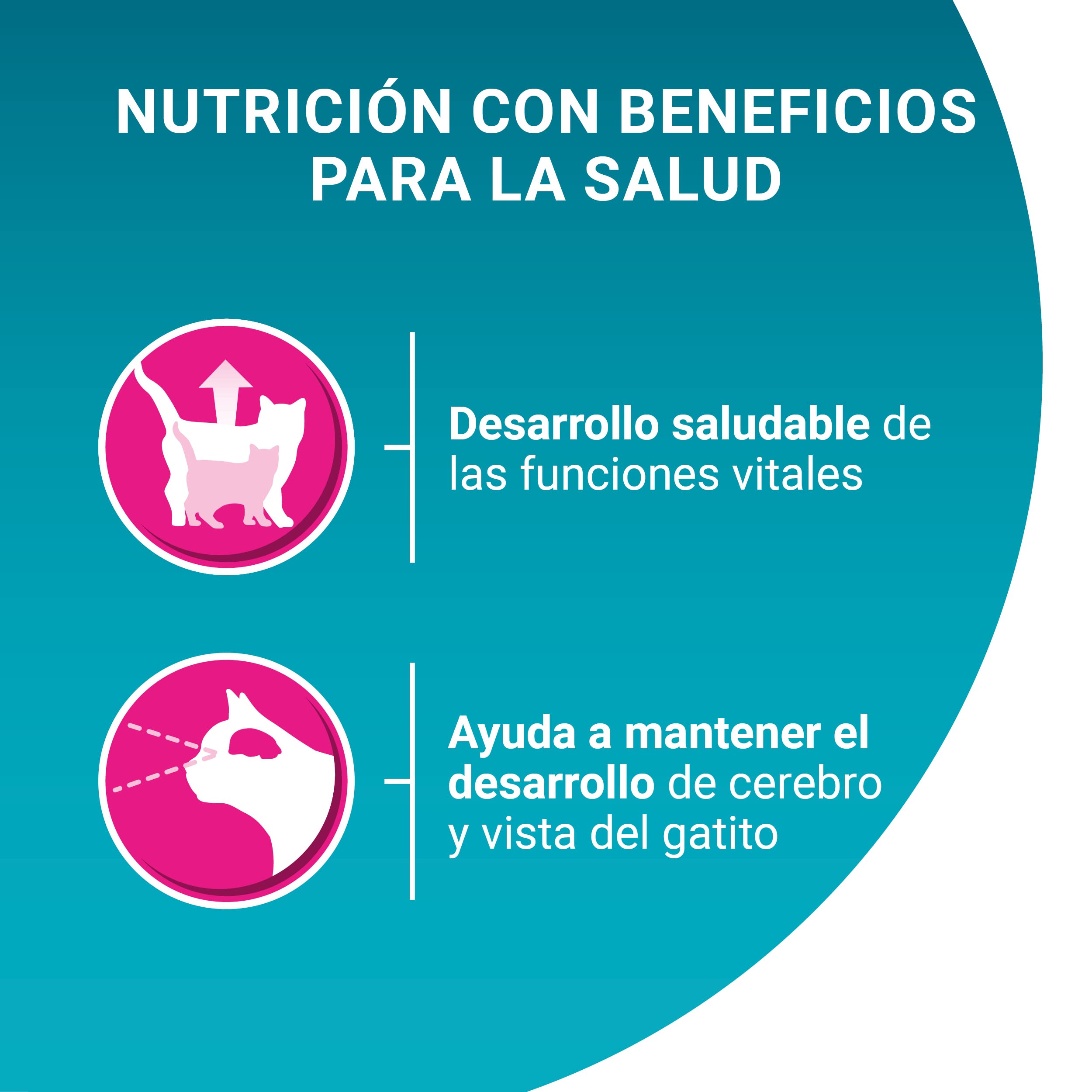 Purina ONE Bifensis Comida Pienso para gato Junior, bebe o gatito con Pollo y Cereales, 10 bolsas de 450 g