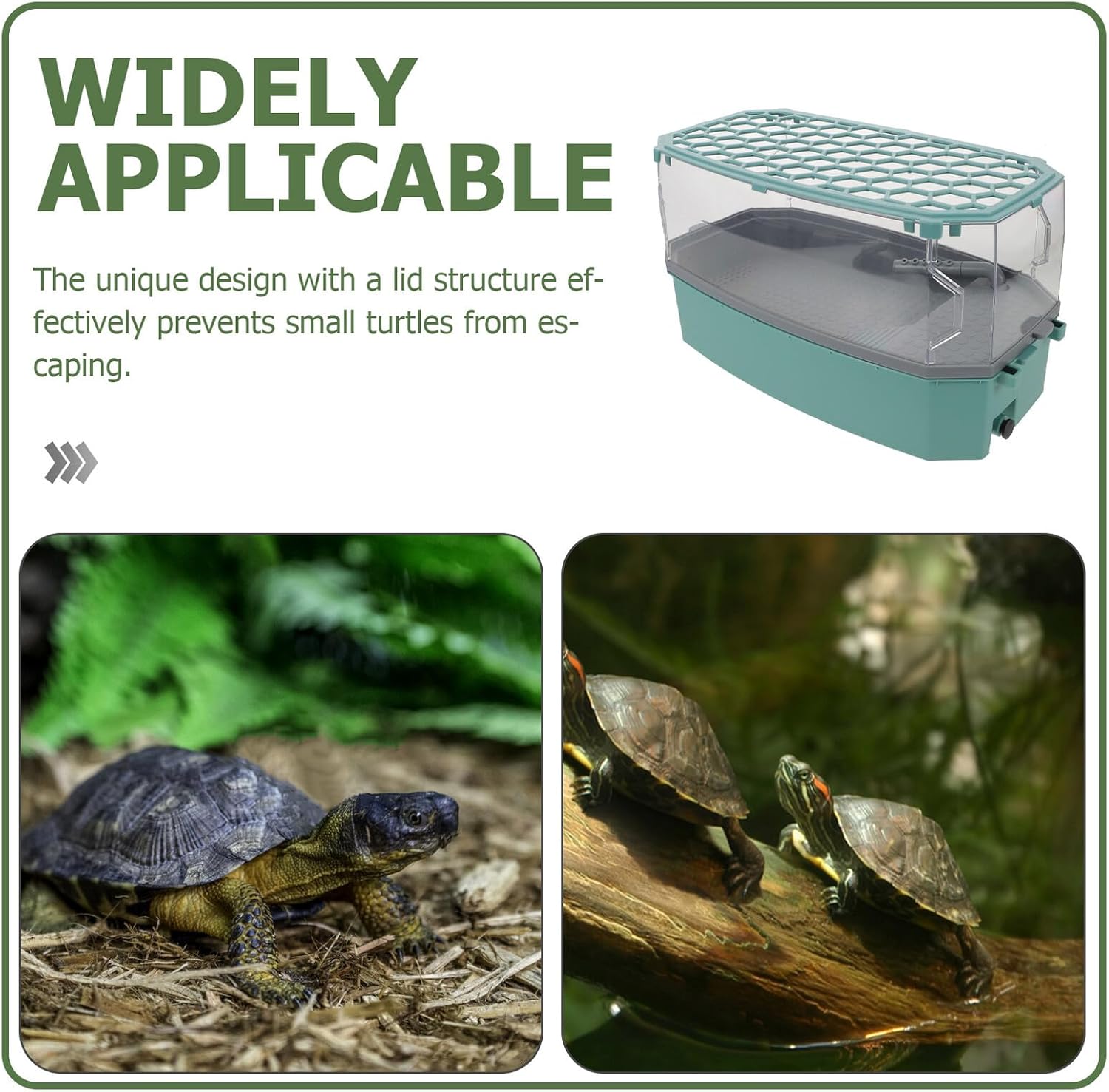 Alipis Small Blue Turtle Tank Aquarium with Lid Plastic Turtle Habitat Terrarium with Basking Loft Eco-Friendly Reptile Aquarium