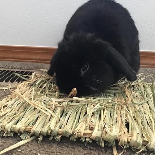 Miniatura 9 de PINVNBY Alfombrillas de heno para conejos, paquete de 12 alfombrillas de hierba natural de conejo, cama tejida de animales pequeños, para dormir